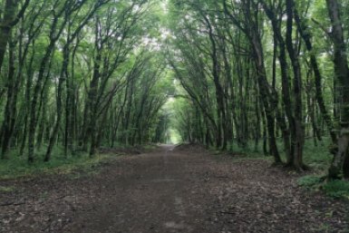 Один из крупнейших природных комплексов страны — в 120 км от столицы ИА Stavropol.Media, Елена Гиневская